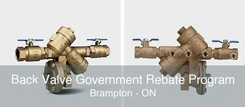 Back Valve Government Rebate Program Brampton - ON