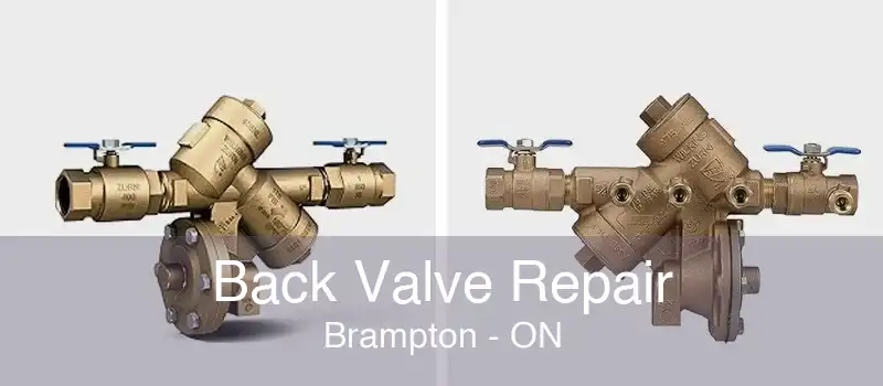 Back Valve Repair Brampton - ON