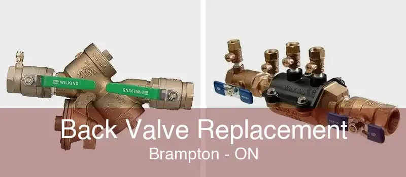 Back Valve Replacement Brampton - ON