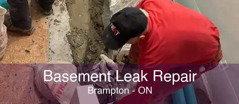 Basement Leak Repair Brampton - ON