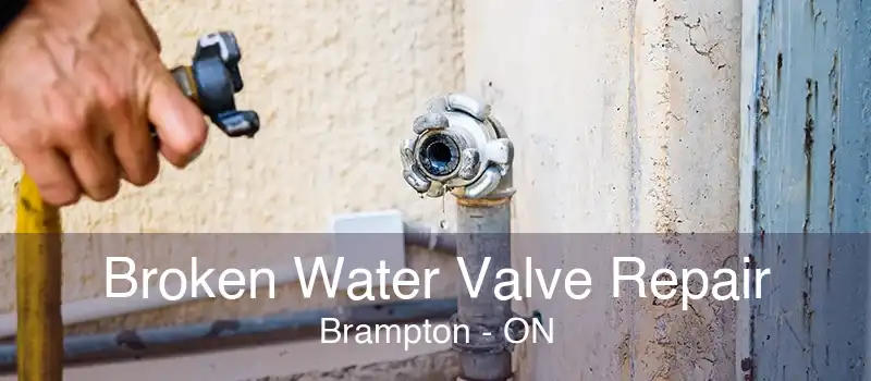 Broken Water Valve Repair Brampton - ON