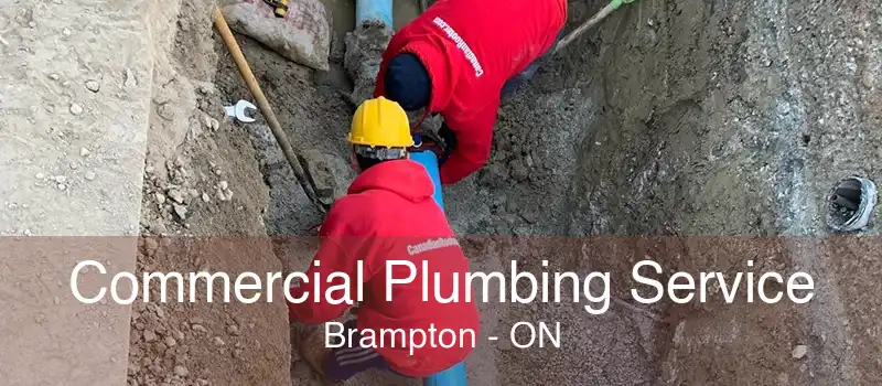 Commercial Plumbing Service Brampton - ON