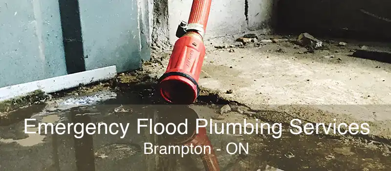 Emergency Flood Plumbing Services Brampton - ON