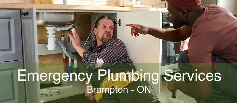 Emergency Plumbing Services Brampton - ON