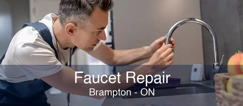 Faucet Repair Brampton - ON