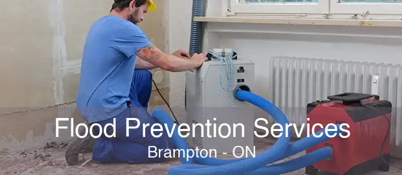 Flood Prevention Services Brampton - ON