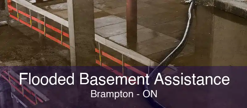 Flooded Basement Assistance Brampton - ON