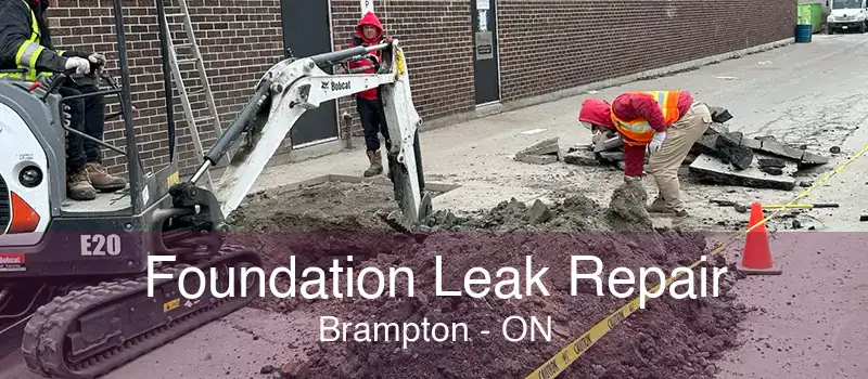 Foundation Leak Repair Brampton - ON