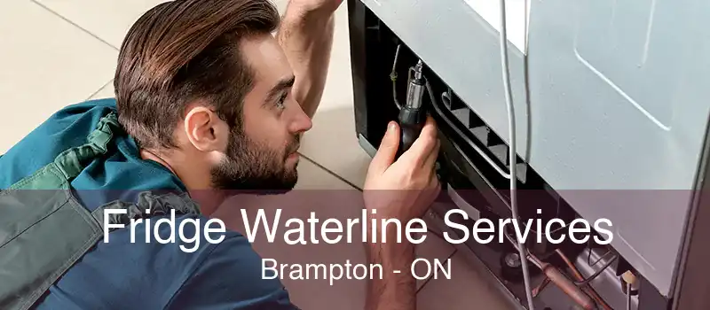 Fridge Waterline Services Brampton - ON