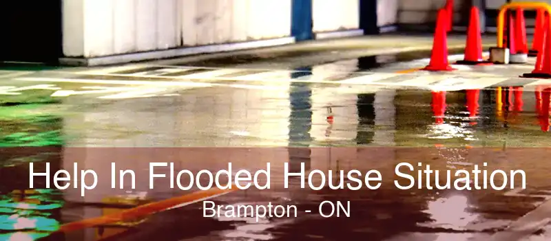 Help In Flooded House Situation Brampton - ON