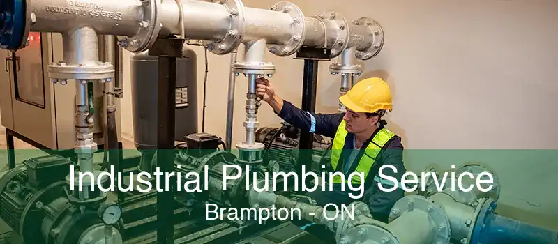 Industrial Plumbing Service Brampton - ON