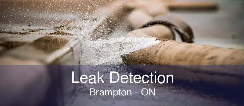 Leak Detection Brampton - ON