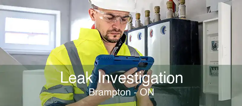 Leak Investigation Brampton - ON