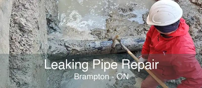 Leaking Pipe Repair Brampton - ON