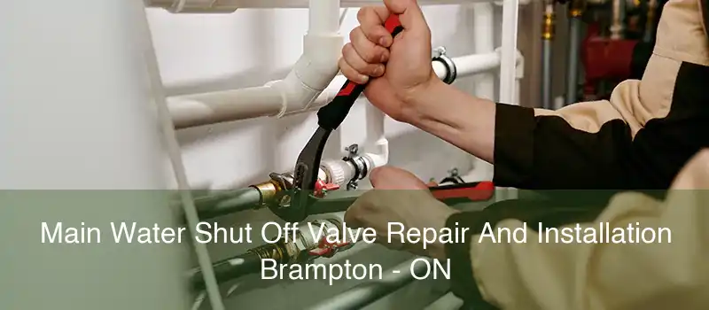 Main Water Shut Off Valve Repair And Installation Brampton - ON