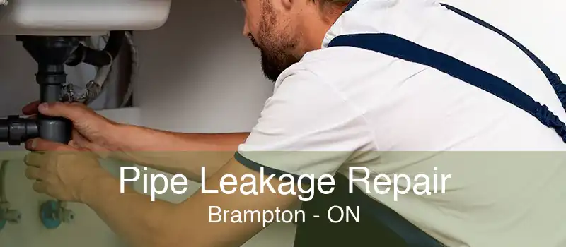 Pipe Leakage Repair Brampton - ON