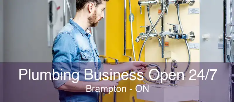 Plumbing Business Open 24/7 Brampton - ON