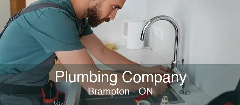 Plumbing Company Brampton - ON