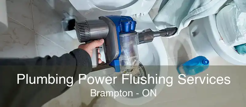 Plumbing Power Flushing Services Brampton - ON