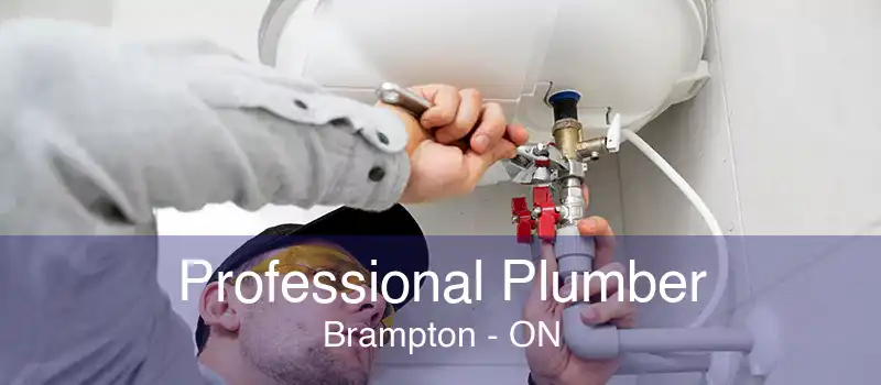 Professional Plumber Brampton - ON