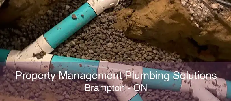 Property Management Plumbing Solutions Brampton - ON