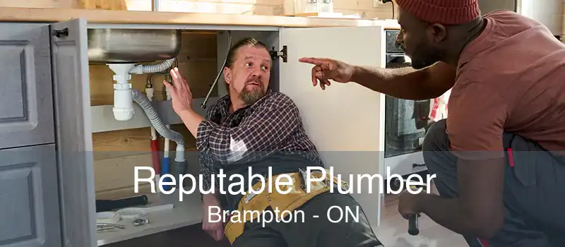 Reputable Plumber Brampton - ON