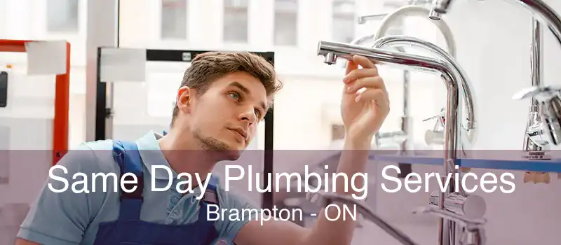 Same Day Plumbing Services Brampton - ON