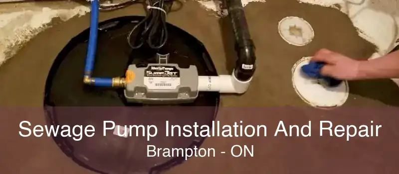 Sewage Pump Installation And Repair Brampton - ON