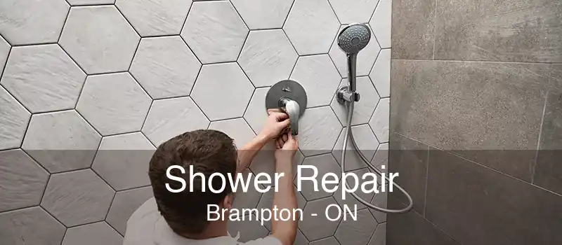 Shower Repair Brampton - ON