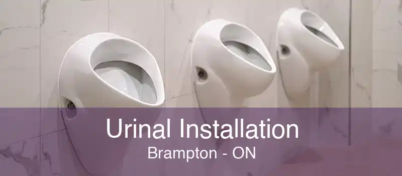 Urinal Installation Brampton - ON