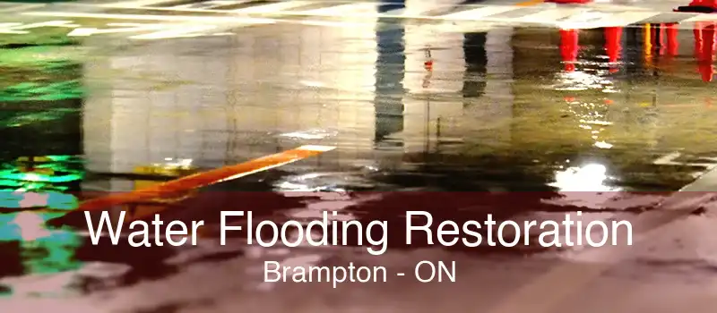 Water Flooding Restoration Brampton - ON