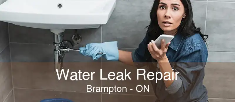 Water Leak Repair Brampton - ON