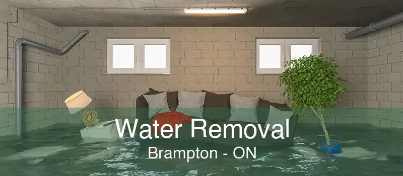 Water Removal Brampton - ON