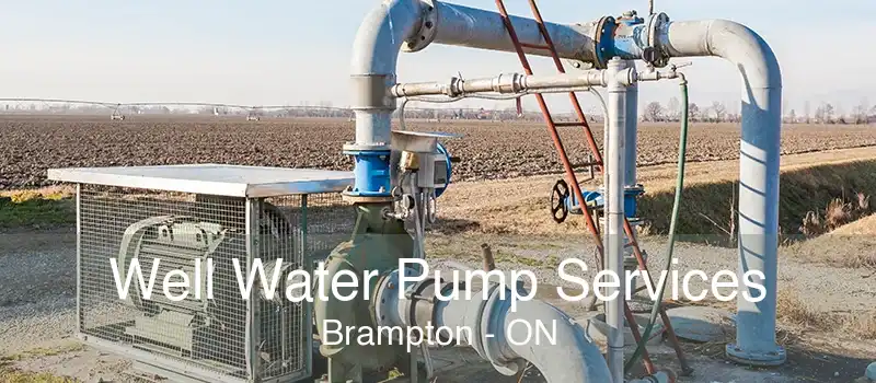 Well Water Pump Services Brampton - ON